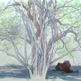 Натюрвив с седлом