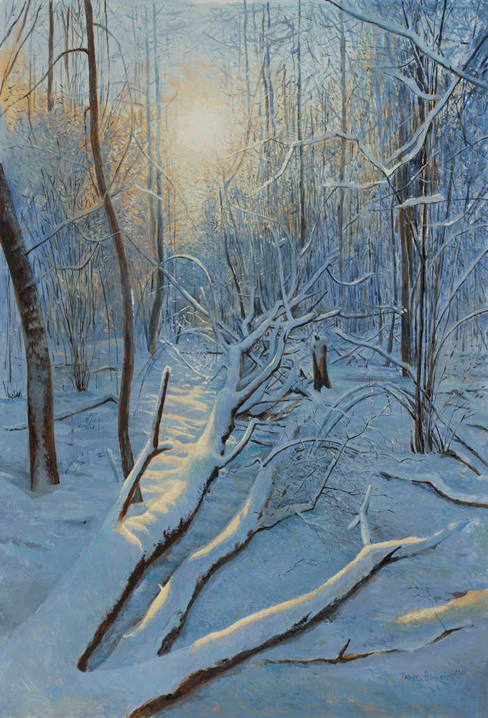 Короткий зимний день