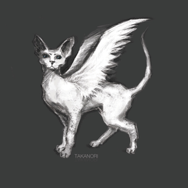 Spirit Cat 