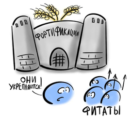 Биофортификация