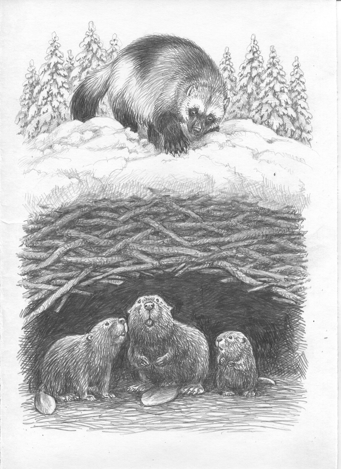 Кто, кто в теремочке живет?