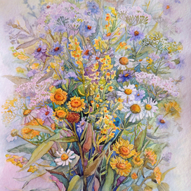 Полевые цветы 2