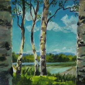 Сквозь березы