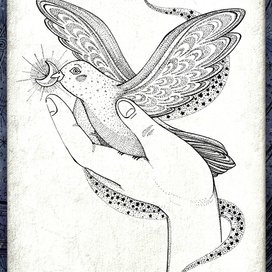 Птица Счастья