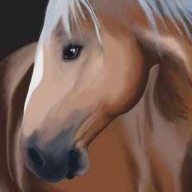 Лошадь. Проба цвета