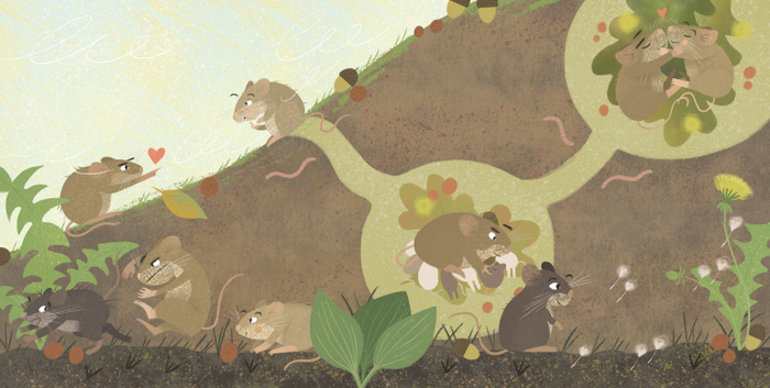 Семейная жизнь мышей