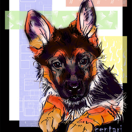 Малышка Йолли