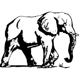 Слон абстрактный рисунок