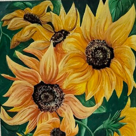 Подсолнухи