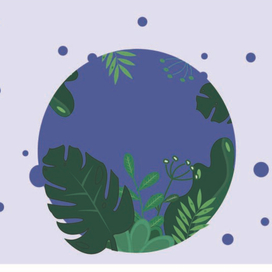 Джунгли или лес?