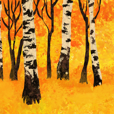 Золото леса