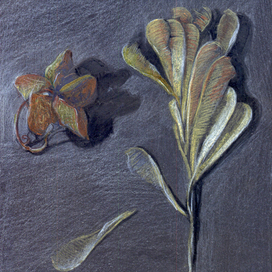 коробочка и вертолётик