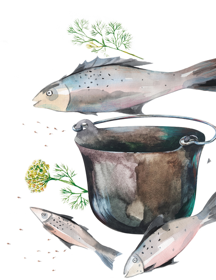 Этюд для журнала