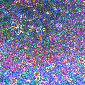 Небесный град