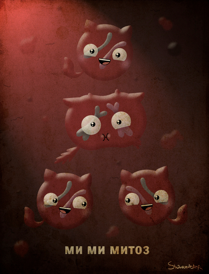 mitoz