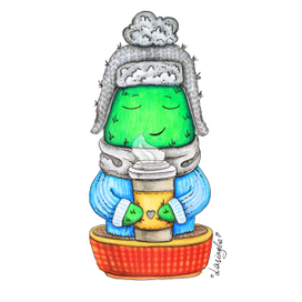 Кактус кофеман