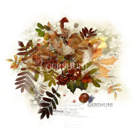 Ягод красные рубины и багряных листьев рой...