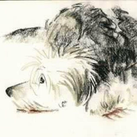 грустный пёс