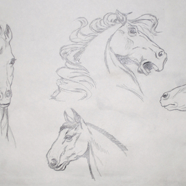 проба лошадиной головы