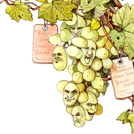 Для журнала Simple Wine News