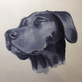 Умиротворение