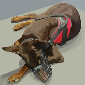 Доберман из электрички