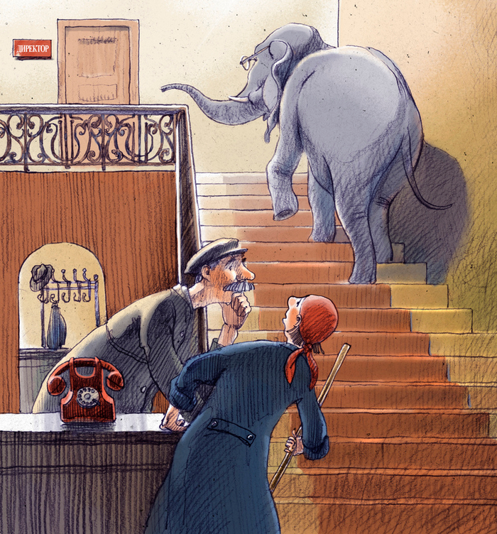 Слон в музее 