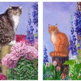 Коты и цветы
