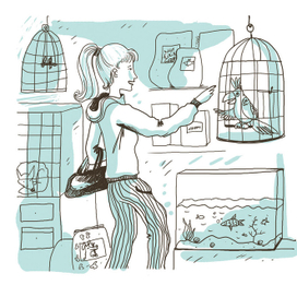 В зоомагазине. Иллюстрация для учебника по изучению языка