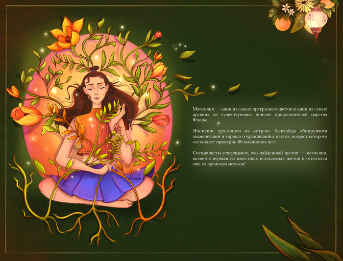 Книга состояний. Аромат магнолии