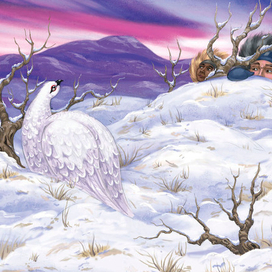 Куропаточья любовь (охота)