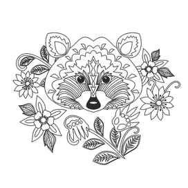 Раскраска "Енот"