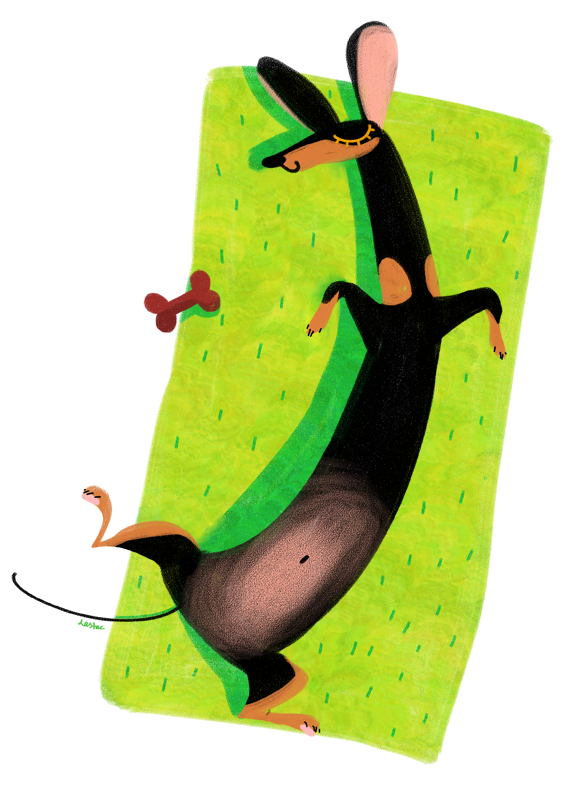 Спящая такса