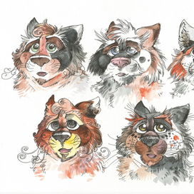 Кот Мориц • Окраска