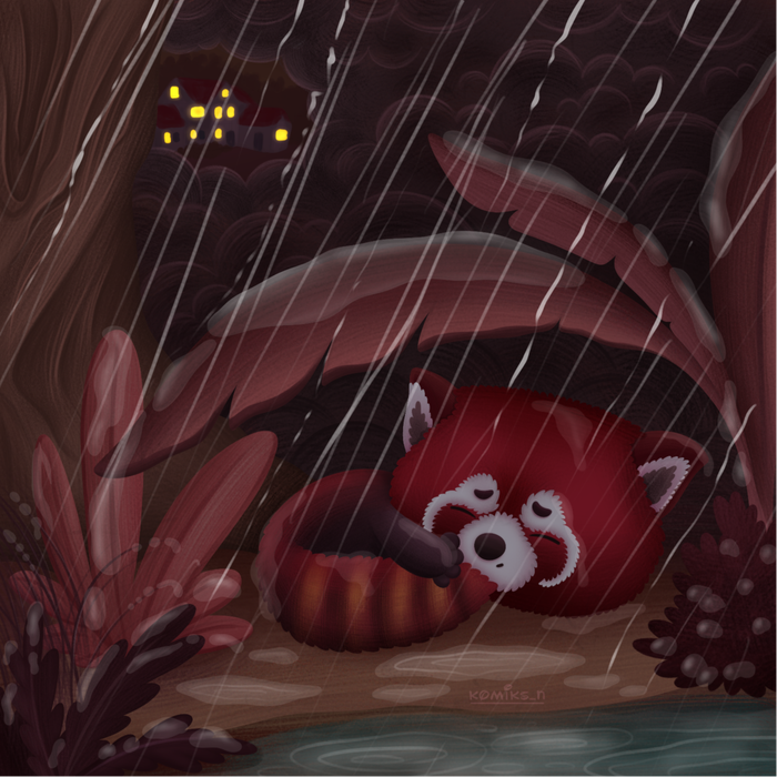 Осень. Дождь. Холод. Начало.