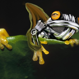 первый коллажик