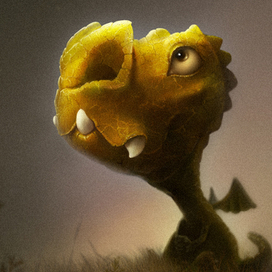 звездное небо