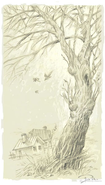 Большие деревья 2