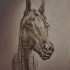 Лошадь 2