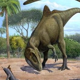 Concavenator corcovatus