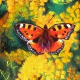 Крапивница