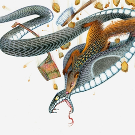 Рикки-Тикки-Тави. Битва.