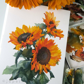 Подсолнухи