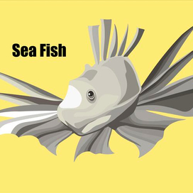 sea fish