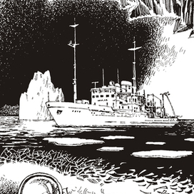 К Антарктиде