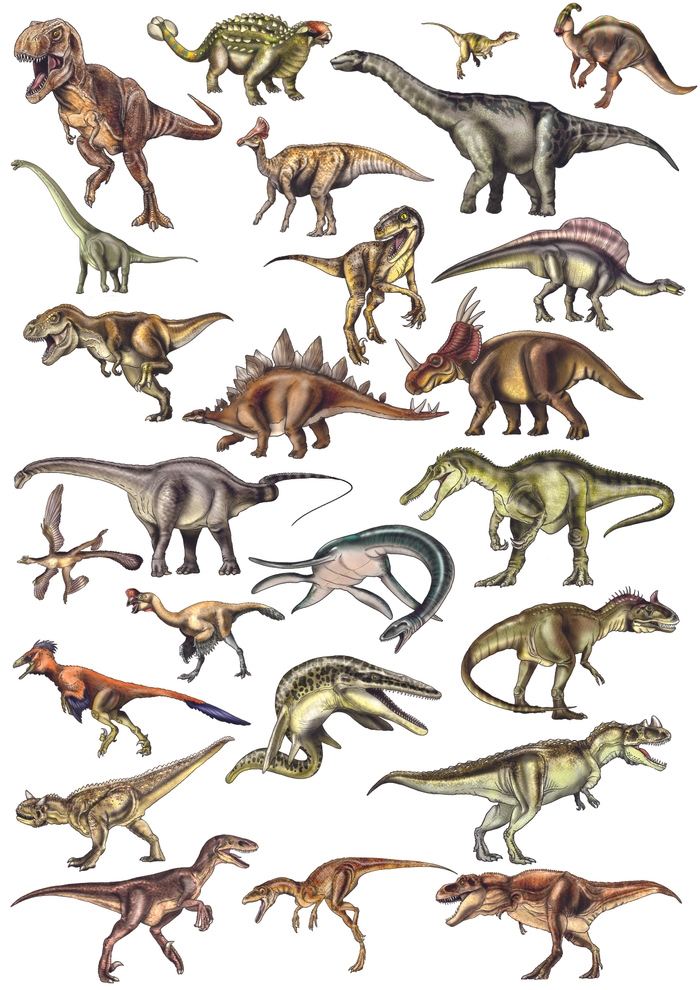 динозавры энциклопедия