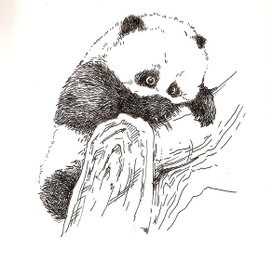 иллюстрация-заставка  к книге