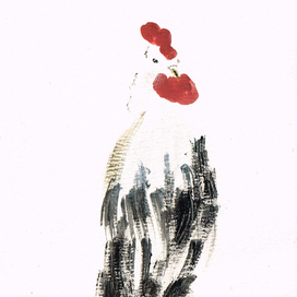 привет петух