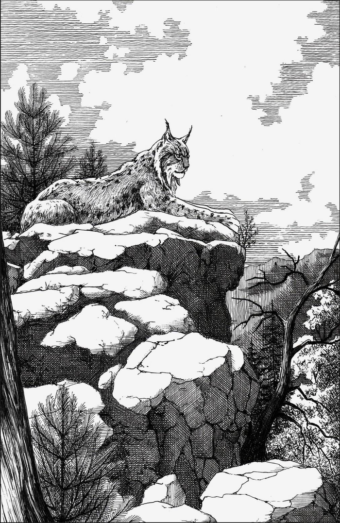 Белые скалы