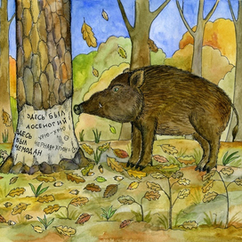 Социальные сети кабанов